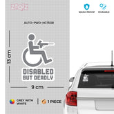 Wheelchair User Inside